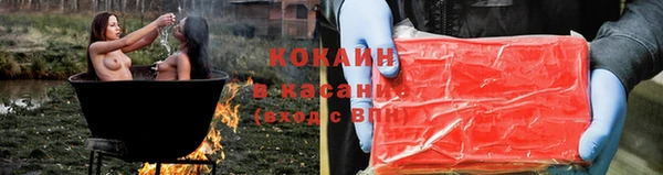 стаф Алзамай