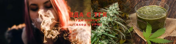 стаф Алзамай