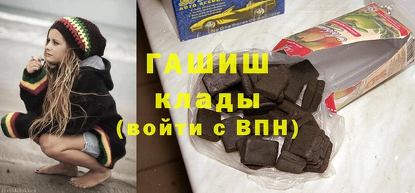 стаф Алзамай