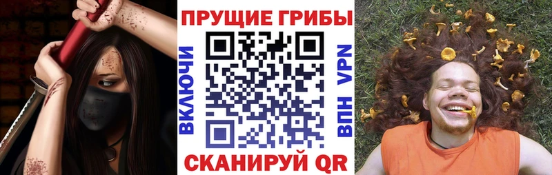 Псилоцибиновые грибы Psilocybe  даркнет сайт  ссылка на мегу сайт  Малаховка 